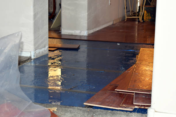 Professional Burst Pipe Cleanup technician working in Woodhaven, MI