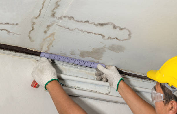 Reliable Burst Pipe Cleanup contractor in Woodhaven, MI by Water Damage Irwin